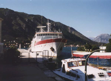 roro cargo passenger